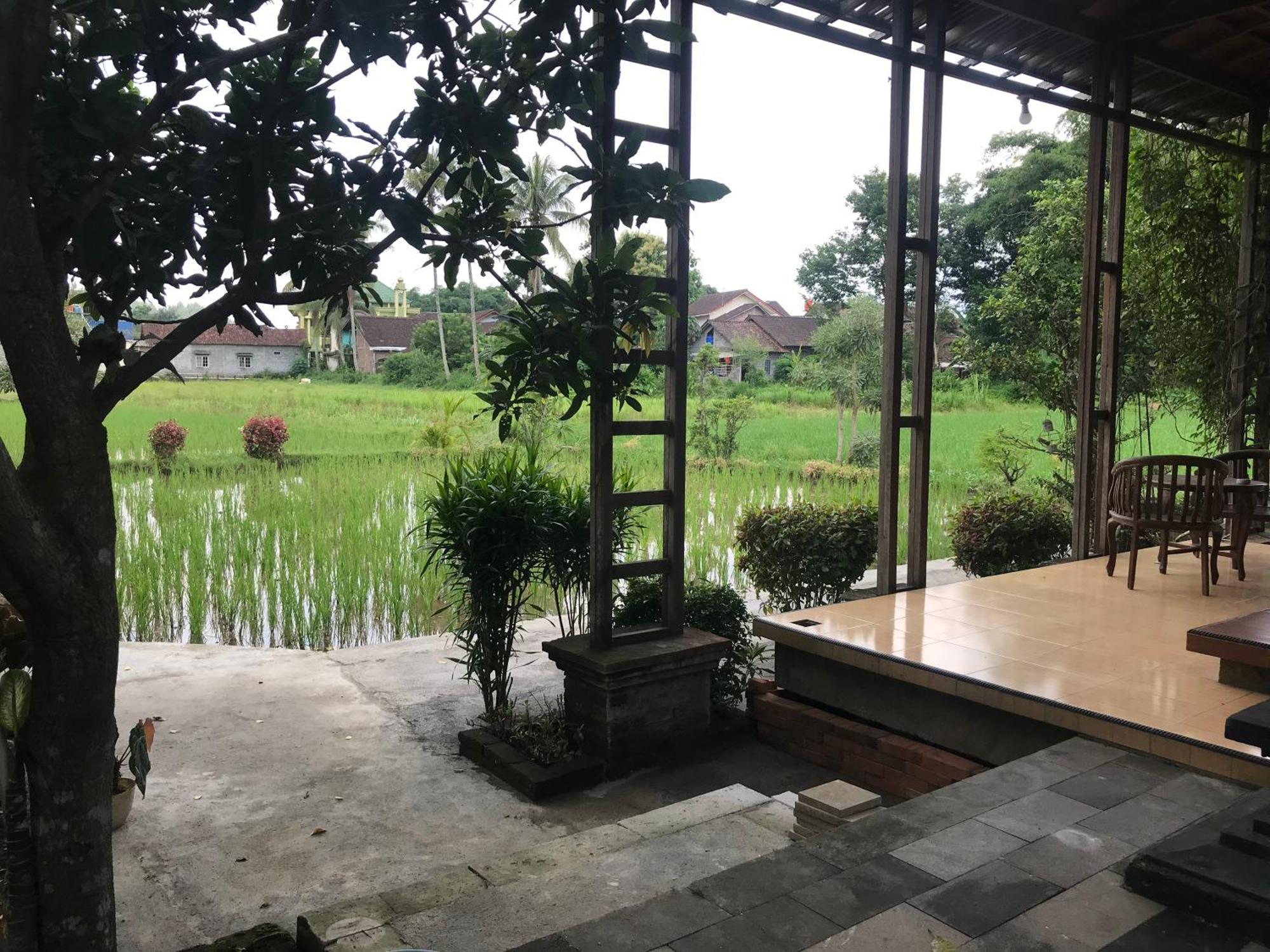 Lotus 2 Guest House Магеланг Экстерьер фото
